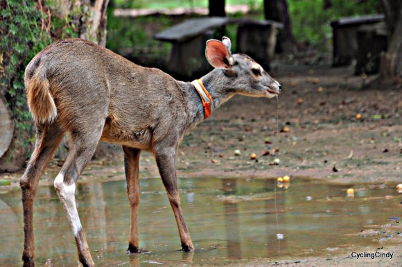 done2017-07-12-17-59-57