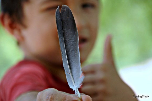 done2017-15-12-21-06-36