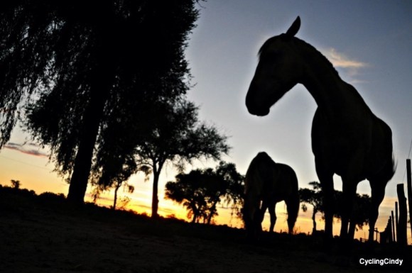 done2017-29-12-16-14-18