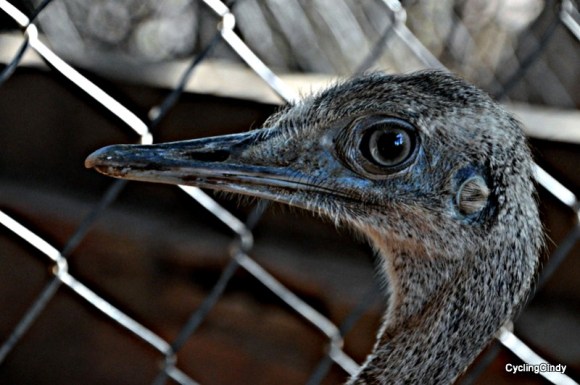 done2018-15-08-21-12-02