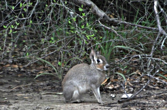 done2018-15-08-21-12-53