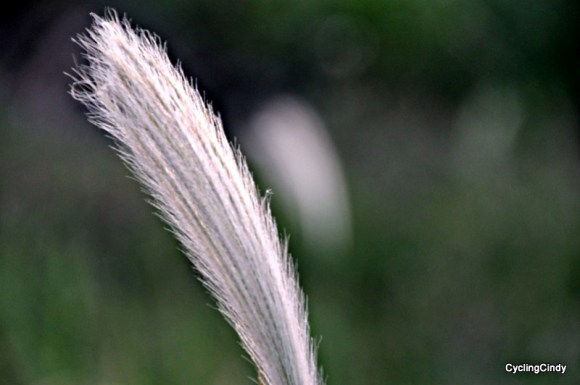 done2018-17-08-12-11-35