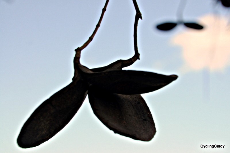 done2018-17-08-12-12-33