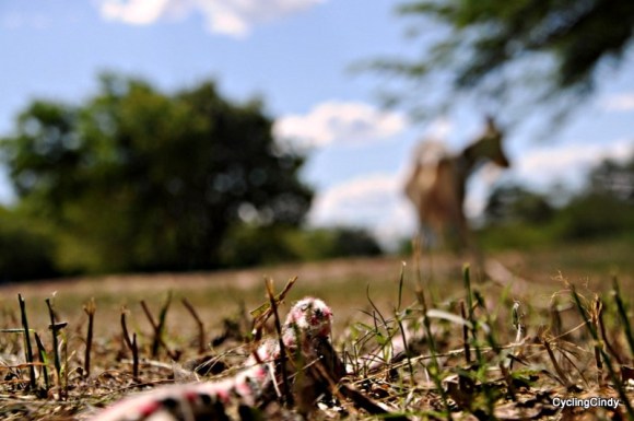 done2018-17-08-12-14-44