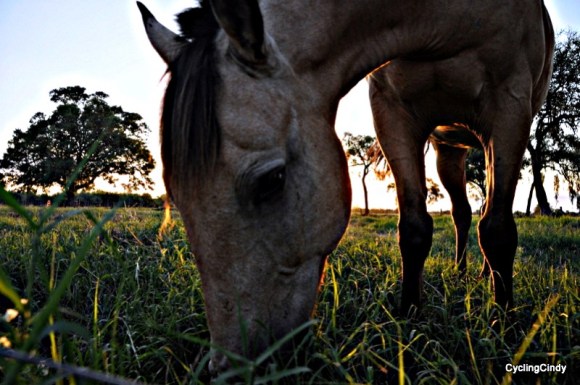 done2018-17-08-12-16-27