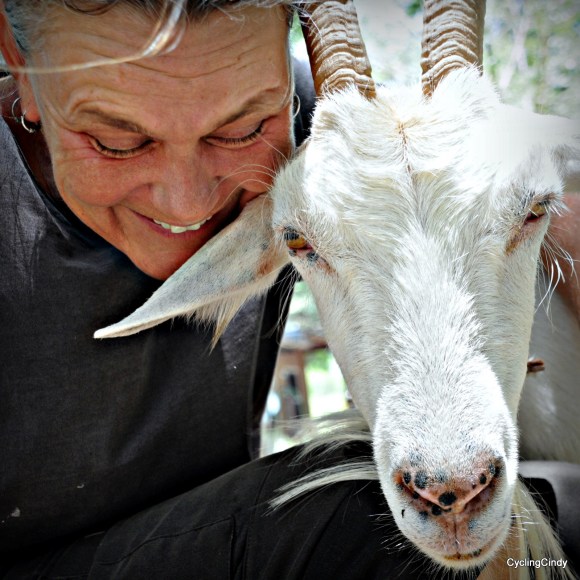 done2018-26-08-09-03-52