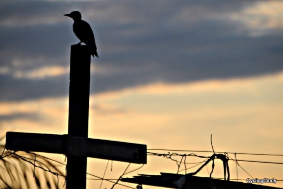 done2018-26-08-10-01-44