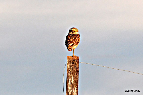 done2018-26-08-12-15-01