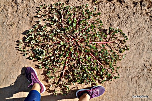 done2018-27-08-08-23-00