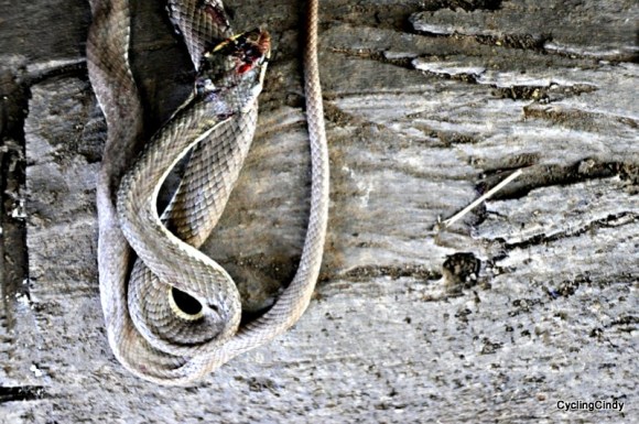 done2018-30-08-18-27-17