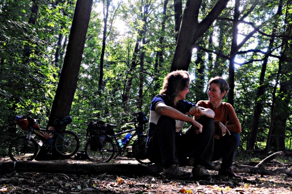 01-2018-29-06-08-21-38