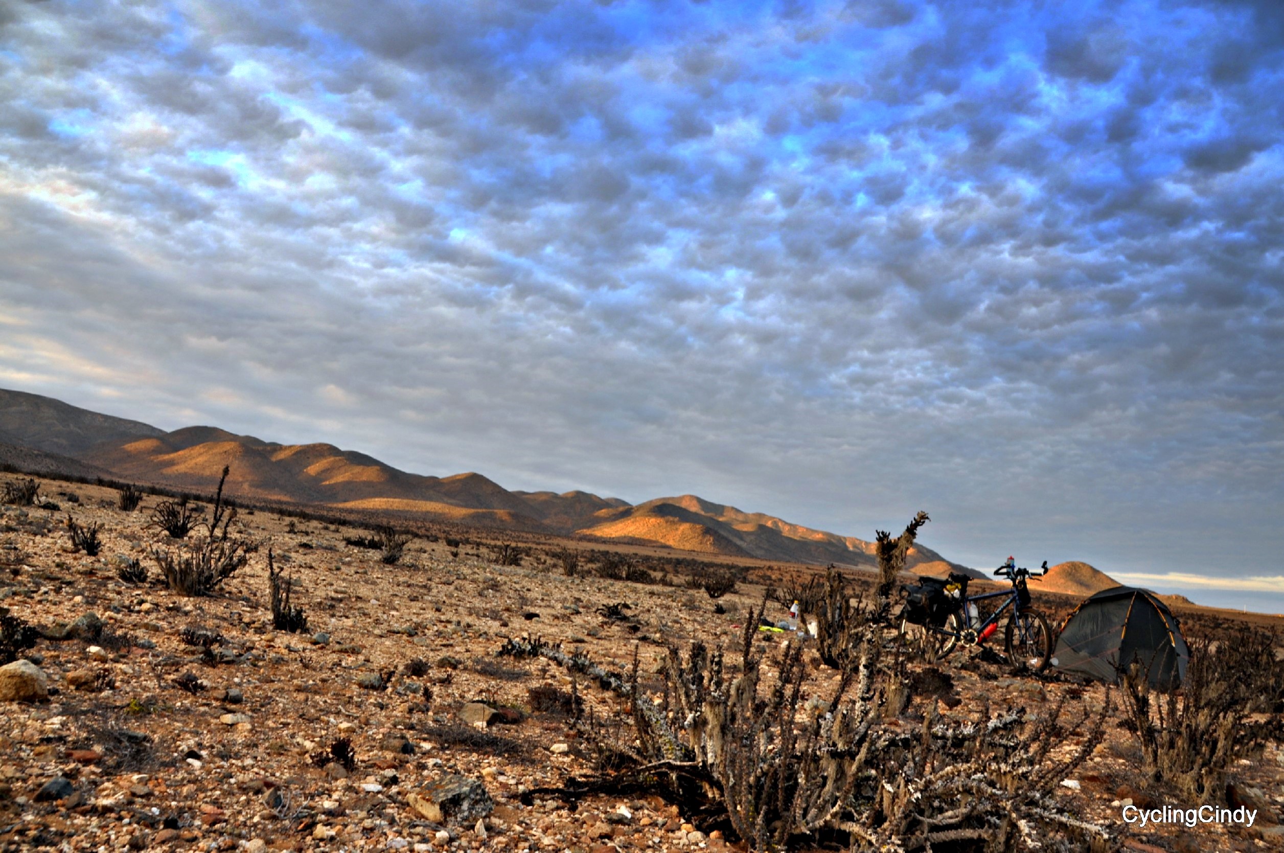 yes 2018-18-12-09-07-45