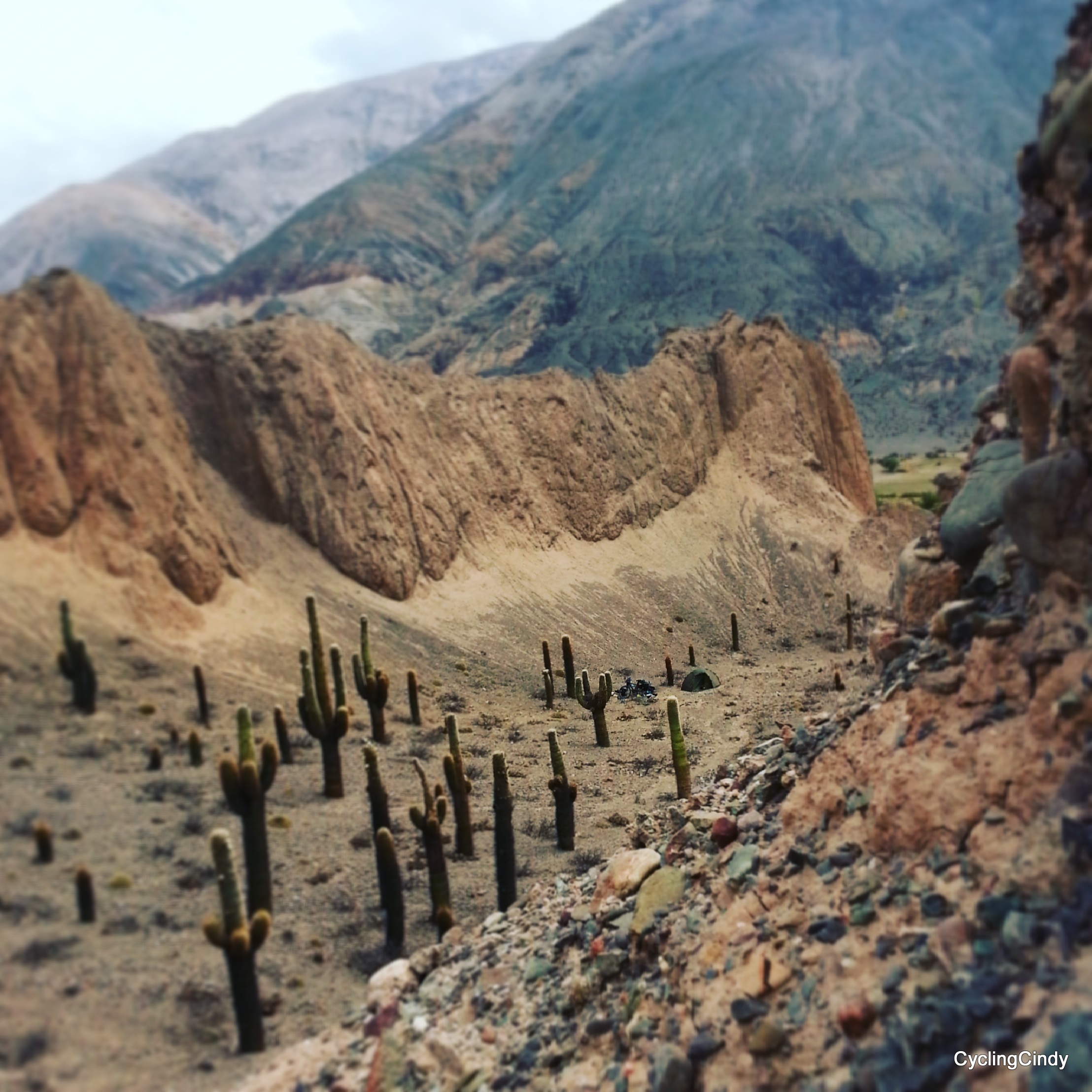 yes03-IMG_20161118_185804