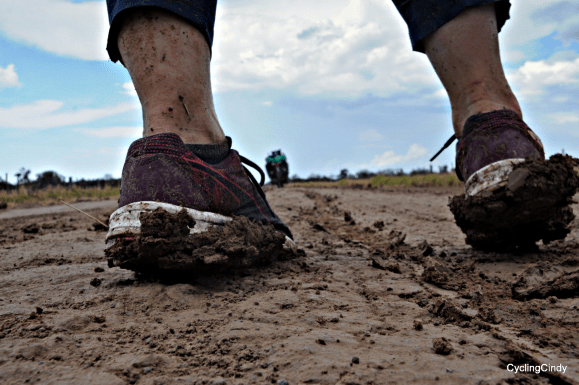 1-DSC_1038 (2) Picsart