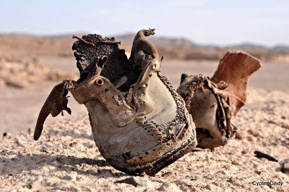 Chile 1 DSC_0485 (3)