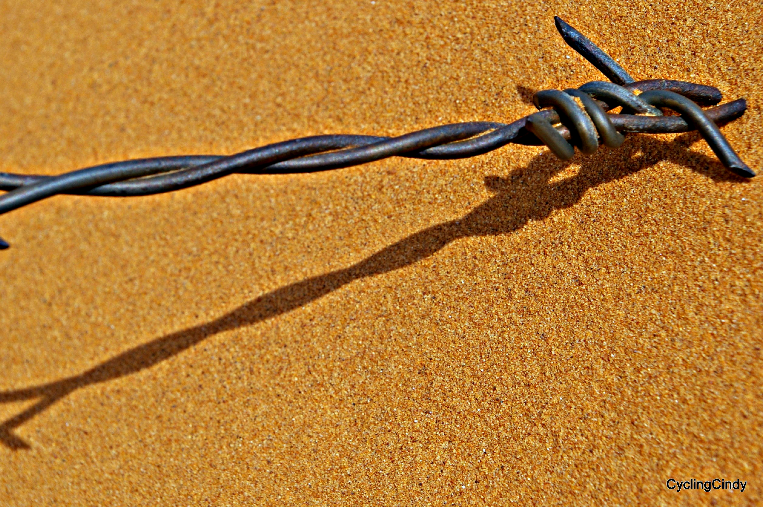done 1-IMGP5784