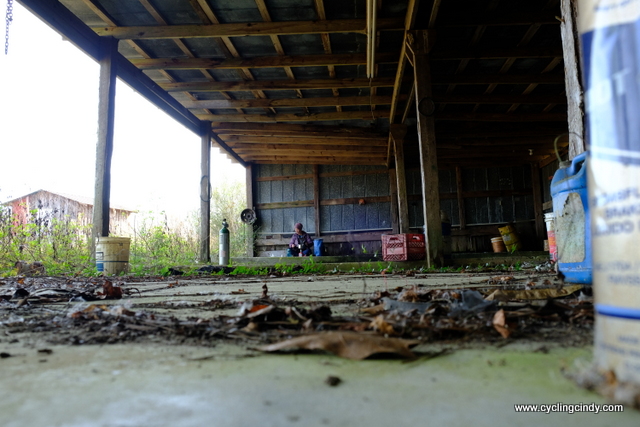 Abandoned camp spot