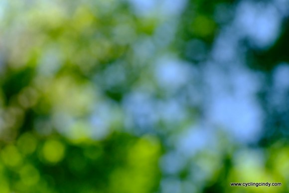 An almost every day view