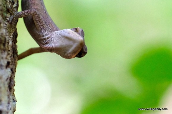 Are you checking me out