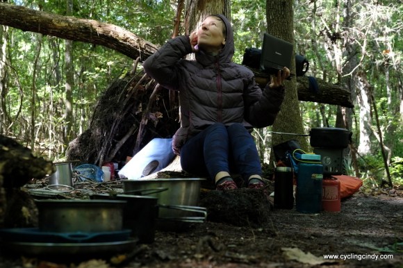 Cold mornings turning quickly warm in Florida