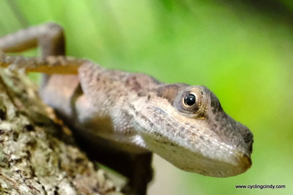 Don't be shy, its just me