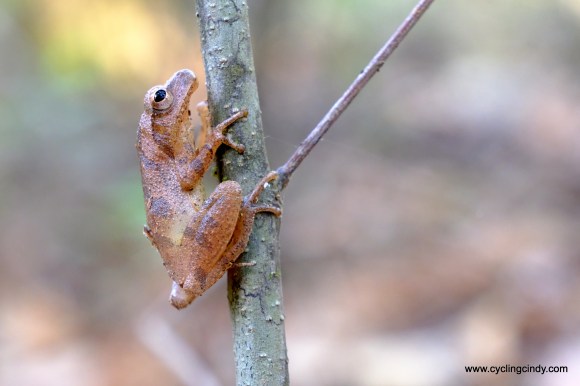 Finally, I got him to sit still