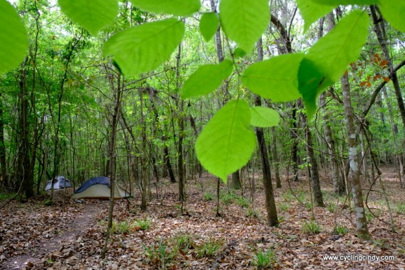 I created paths so walking goes without sound