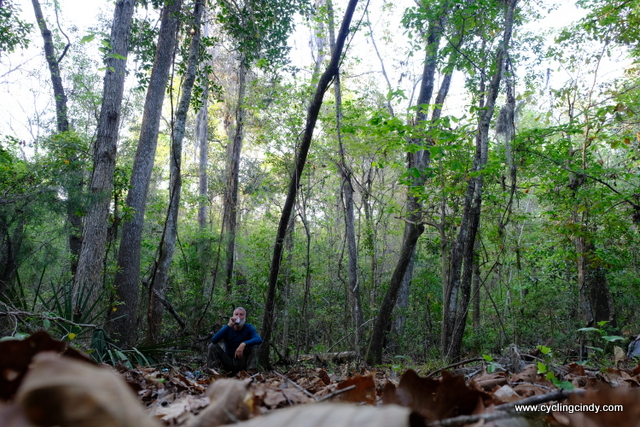 I see Geo in our forest