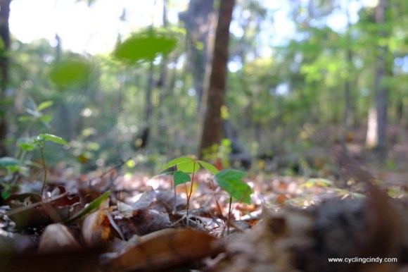 On my way to the toilet