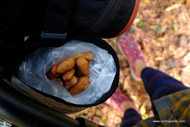 Raw cacoa beans