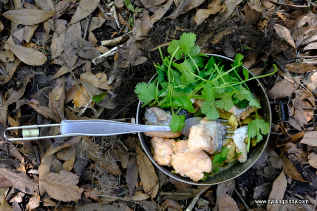 Salmon from the Aldi, excellent camp food