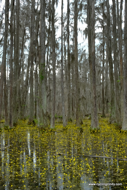 There is so little beauty to be seen out here