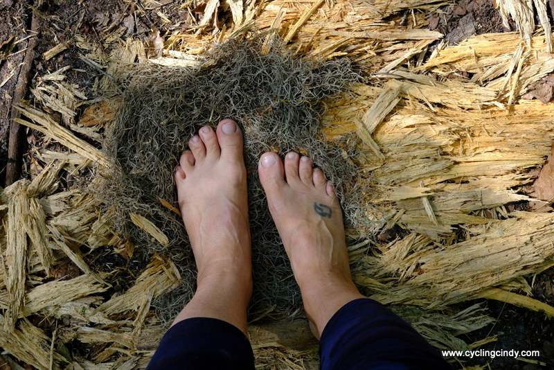 Tree hair to keep the washed feet clean