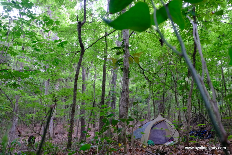 Unbelievable but we hardly find our own camp