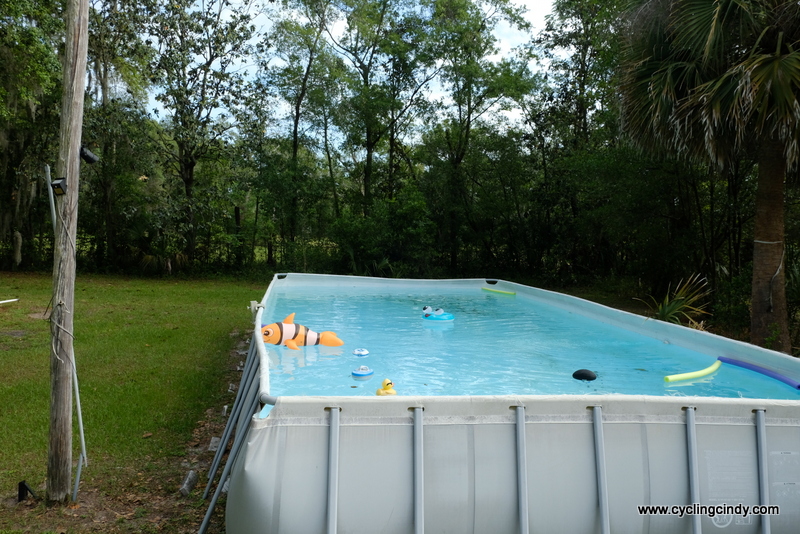 The pool, for all to use